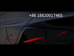 lámpara trasera del modelo 3 de Tesla